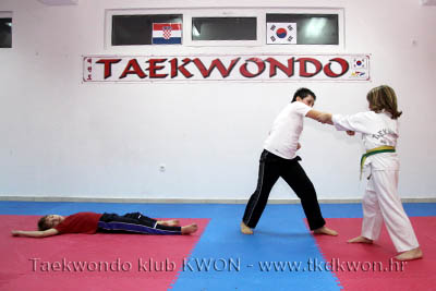 taekwondo kwon training